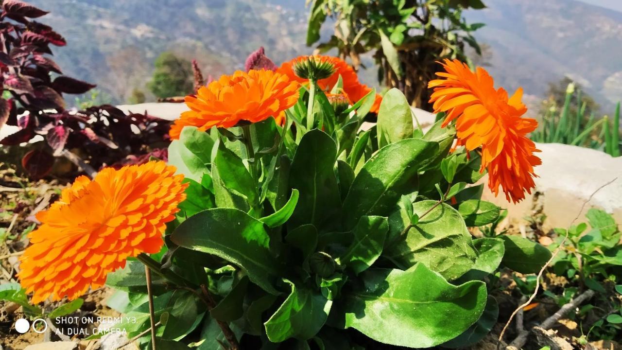 Patlekhet Eco Farmhouse Dhulikhel Luaran gambar